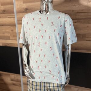 Koszulka Męska Tommy Jeans TJ Skater rozmiar. XXL